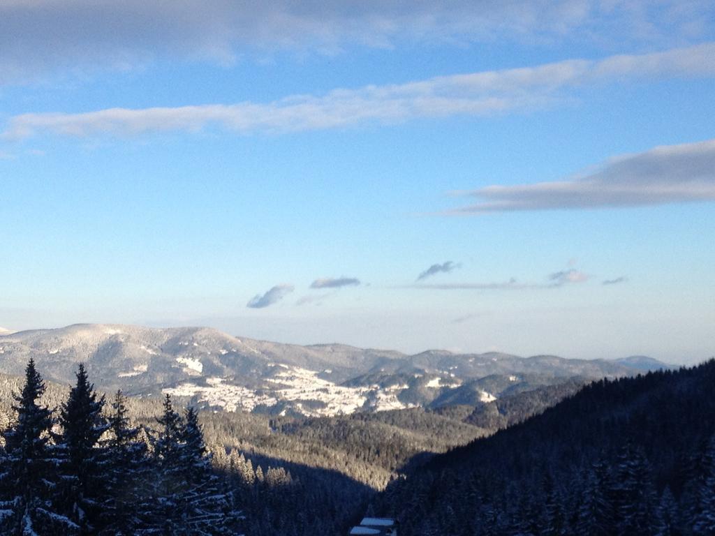 Stenata Boutique Apartments Pamporovo Szoba fotó